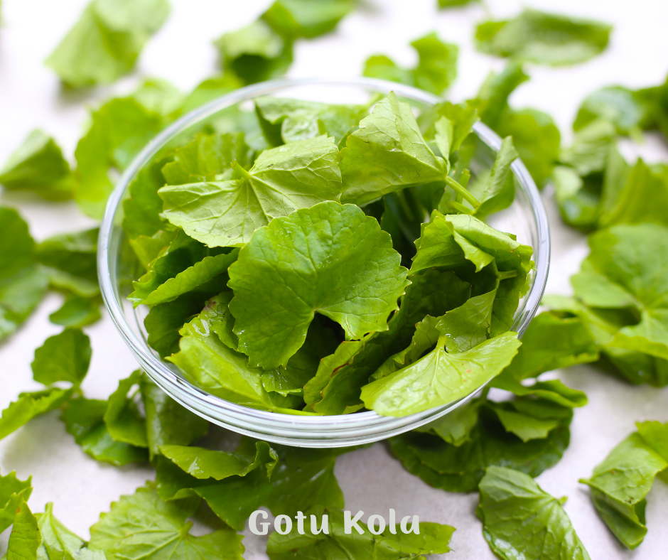 gotu kola